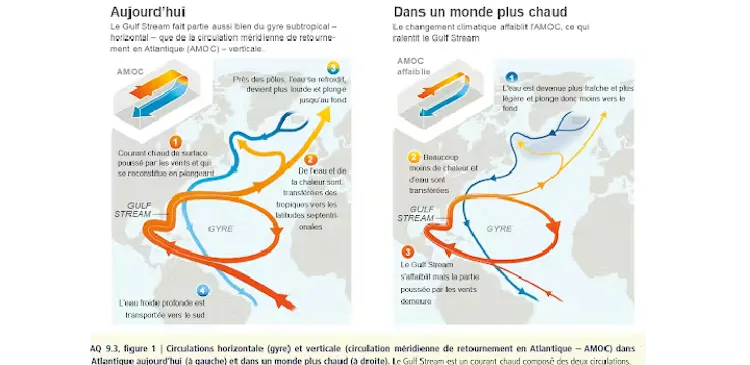 AMOC : qu'est-ce que c’est et quelles conséquences s'il s’effondre
